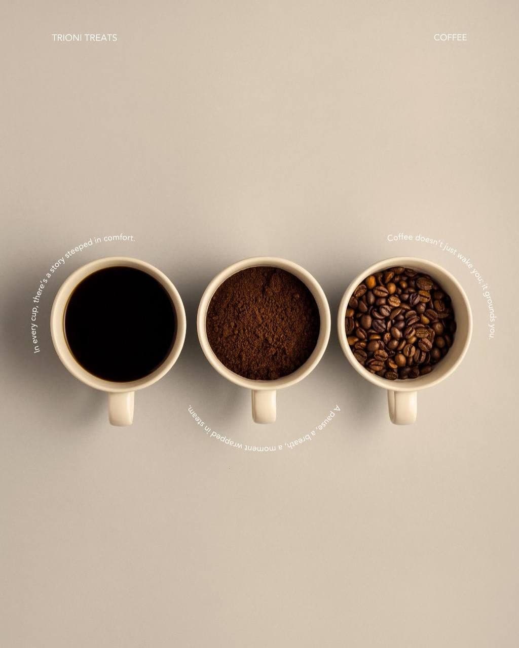 مشاوره و آموزش در آن روستری