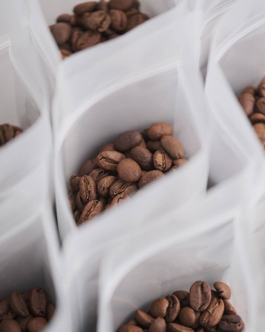آکادمی و برشته کاری قهوه — تصویر 2